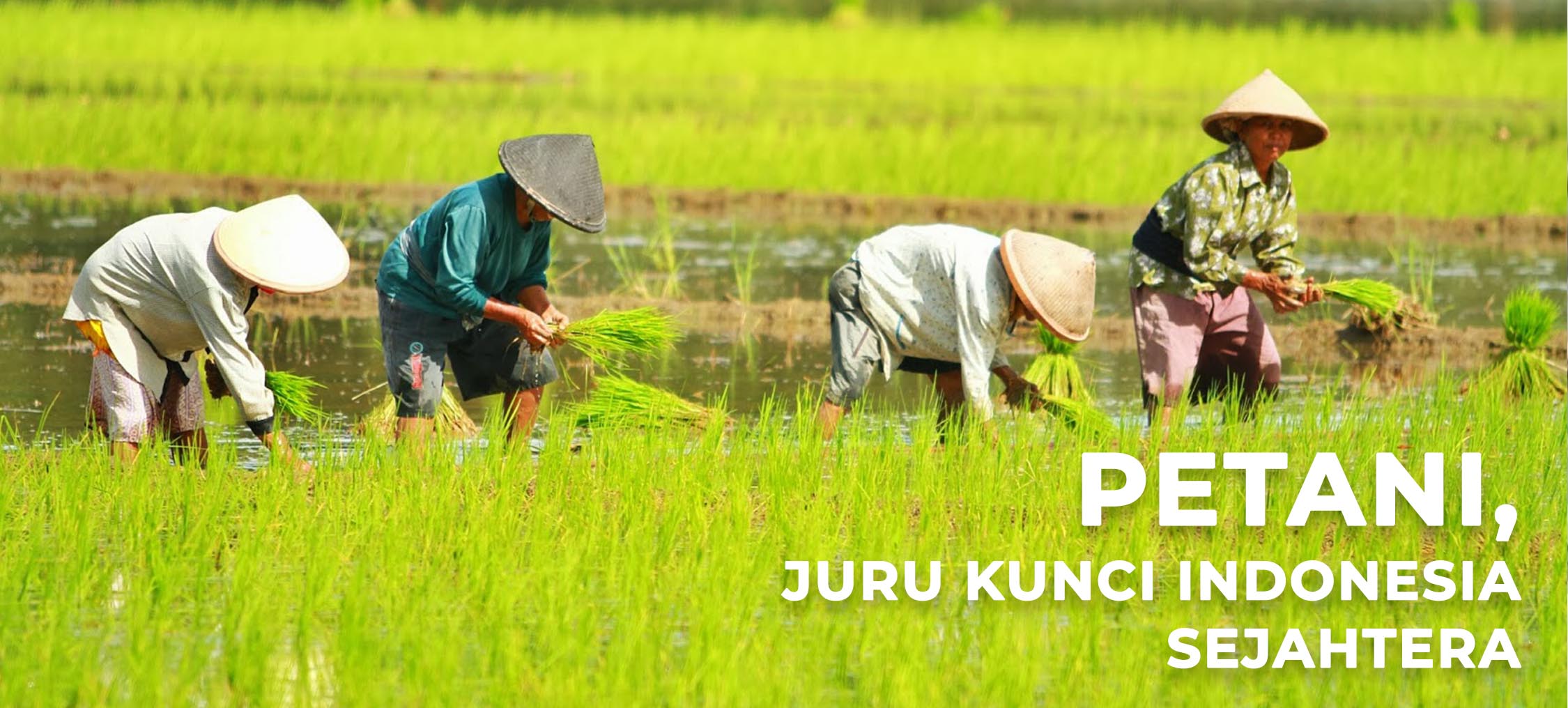 Petani, Juru Kunci Indonesia Sejahtera - Wakaf Salman